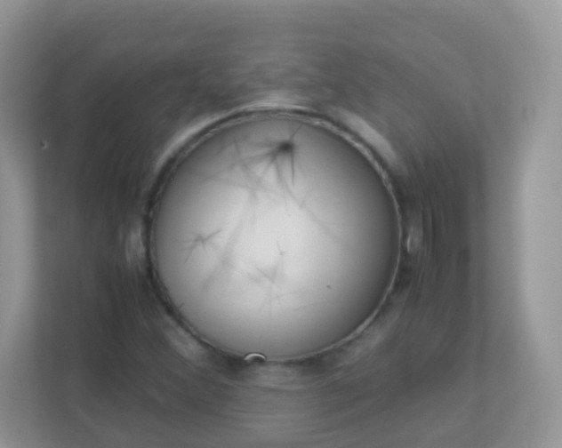 X0000113291356200909281004