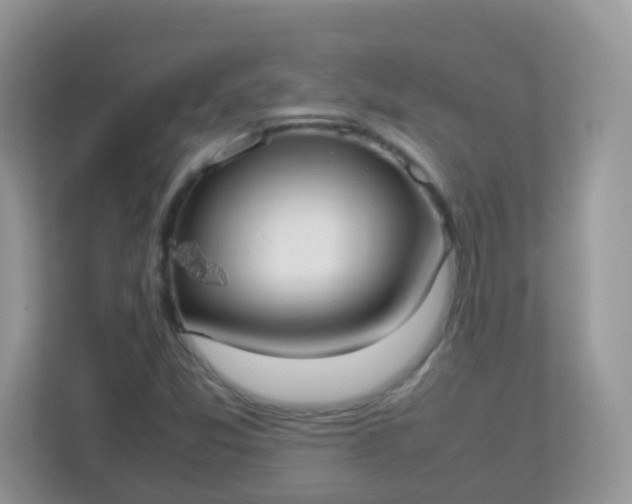 X0000113291357200909281004