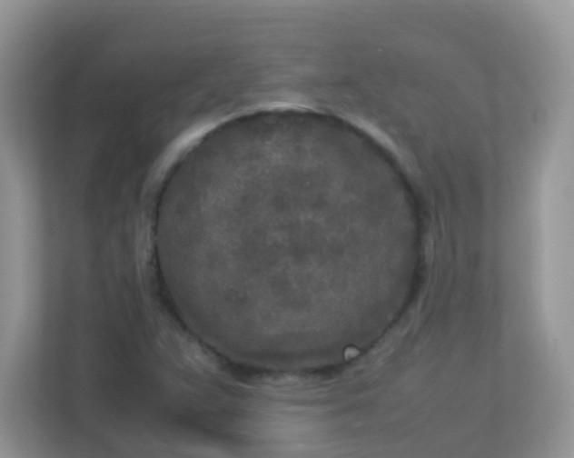 X0000113291359200909281004