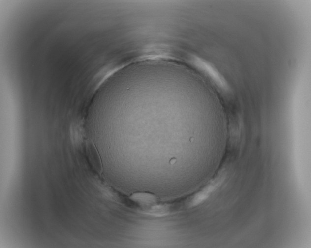 X0000113291361200909281004