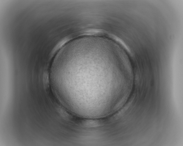 X0000113291362200909281003