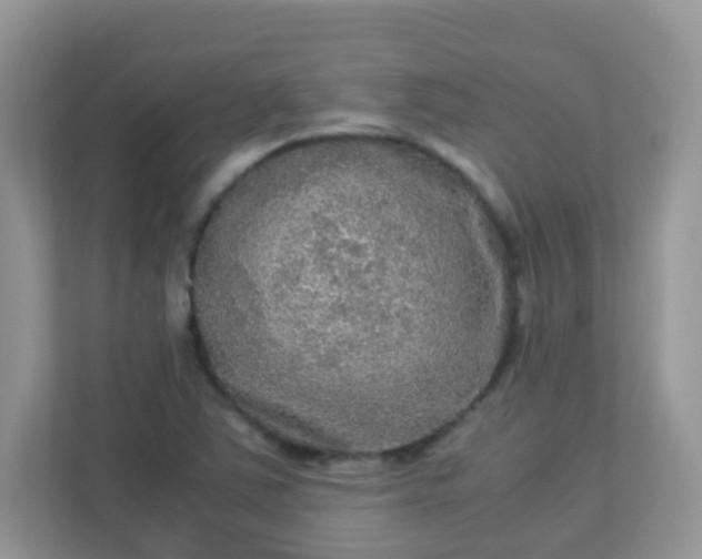 X0000113291363200909281003