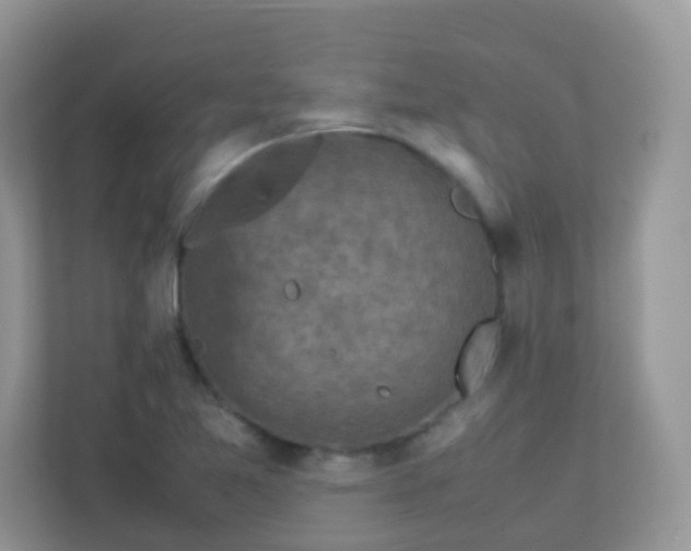 X0000113291365200909281003