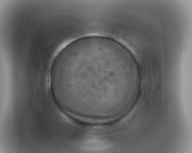 X0000113291367200909281003