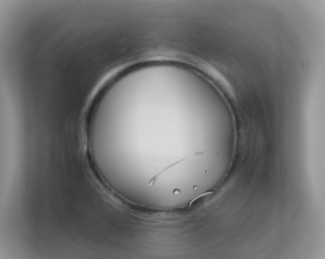 X0000113291368200909281003