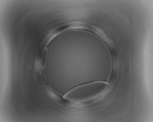 X0000113291369200909281003