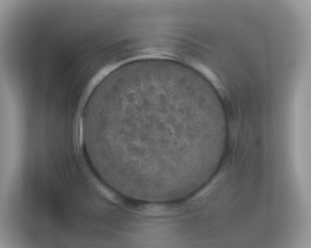 X0000113291371200909281003