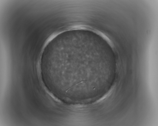 X0000113291373200909281003