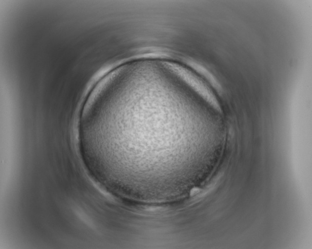 X0000113291375200909281003