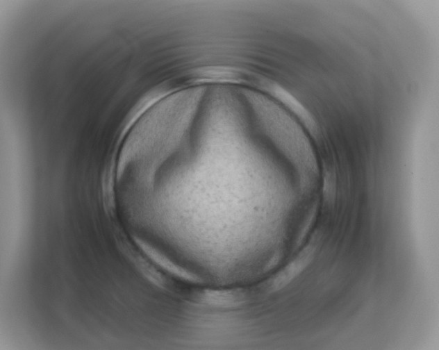 X0000113291378200909281003