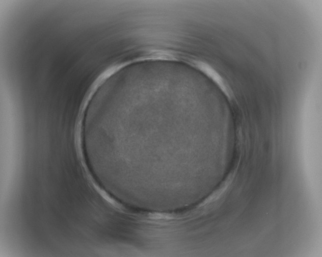 X0000113291379200909281003