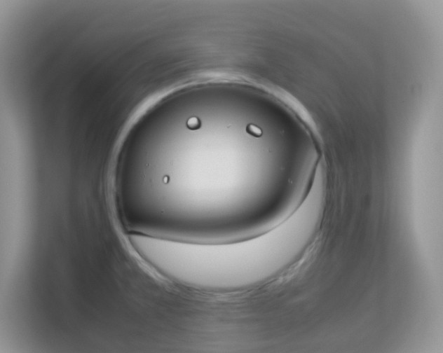 X0000113291381200909281003