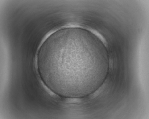 X0000113291382200909281003