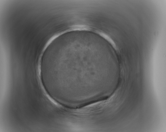 X0000113291383200909281003