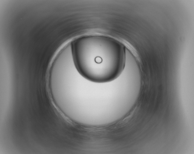 X0000113291384200909281003