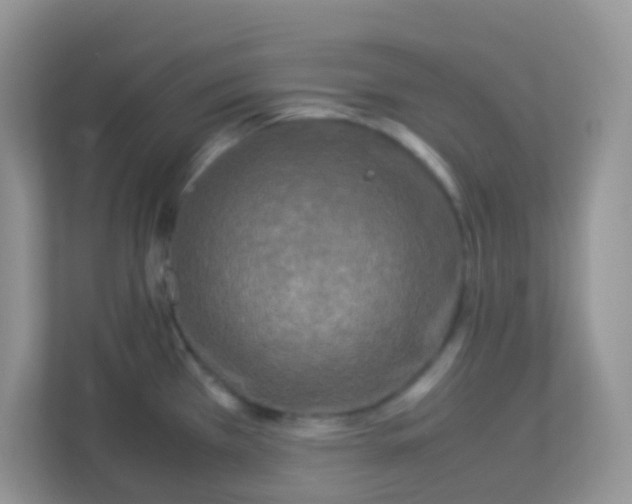 X0000113291385200909281003