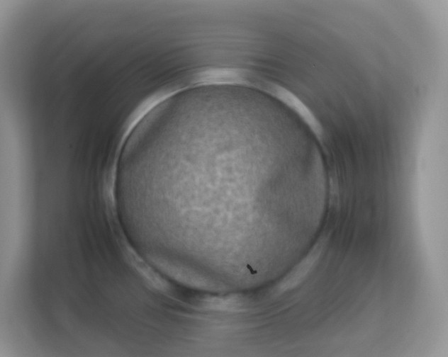 X0000113291386200909281003