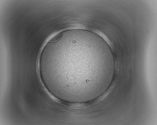 X0000113291387200909281003