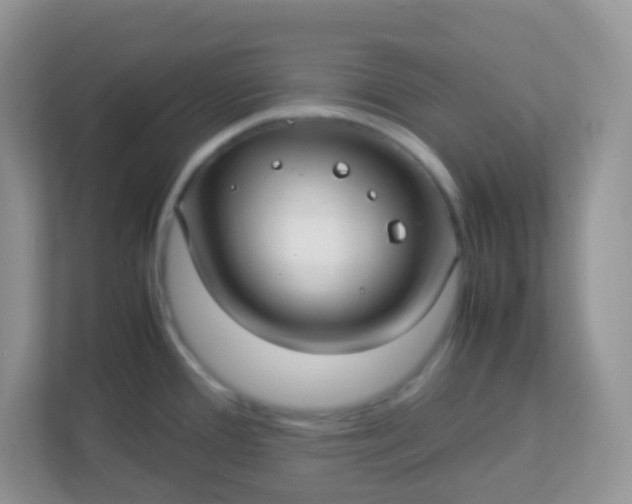 X0000113291388200909281003