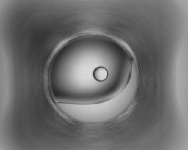 X0000113291389200909281003