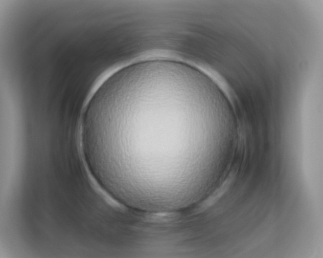 X0000113291390200909281003