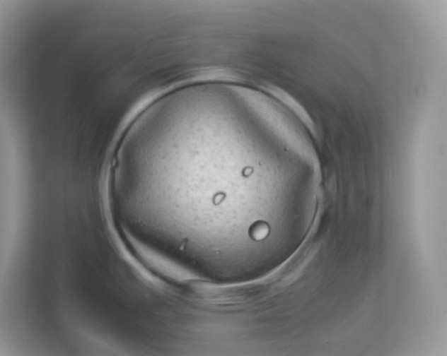 X0000113291391200909281003