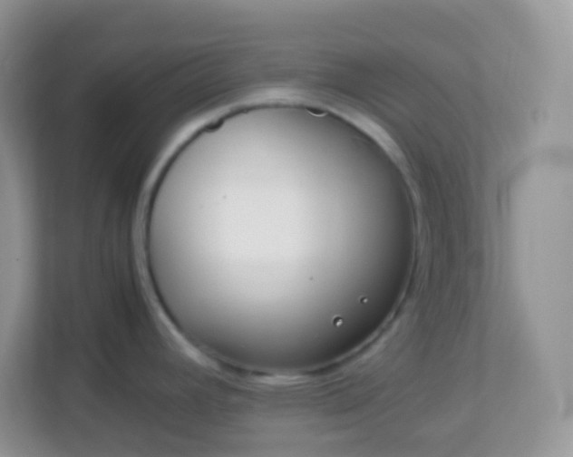 X0000113291392200909281003