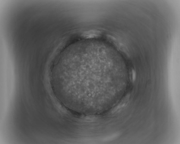 X0000113291393200909281002