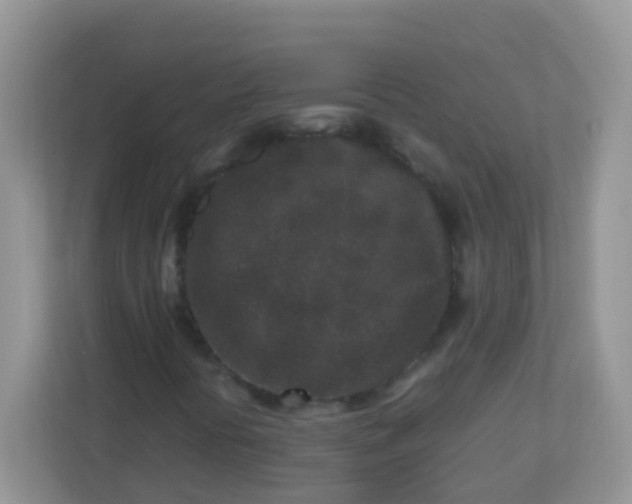 X0000113291394200909281002