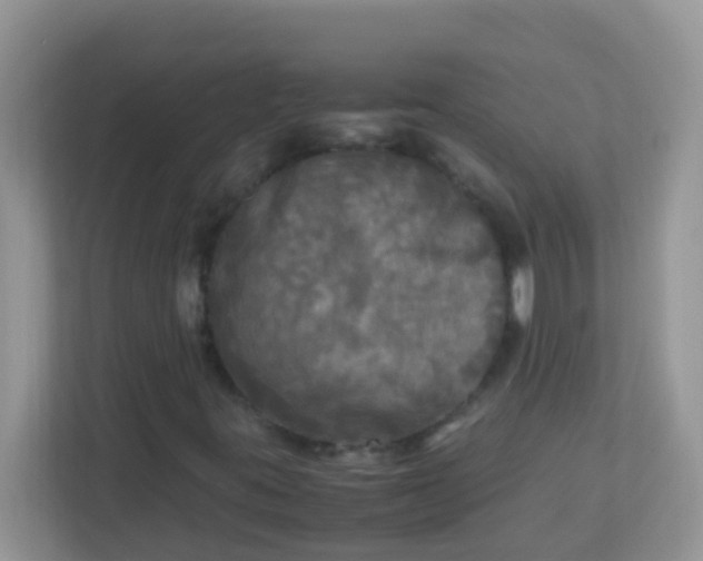 X0000113291395200909281002