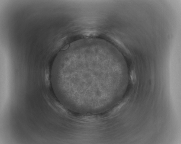 X0000113291396200909281002