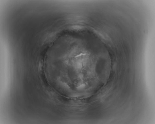 X0000113291397200909281002