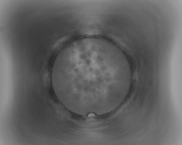 X0000113291398200909281002