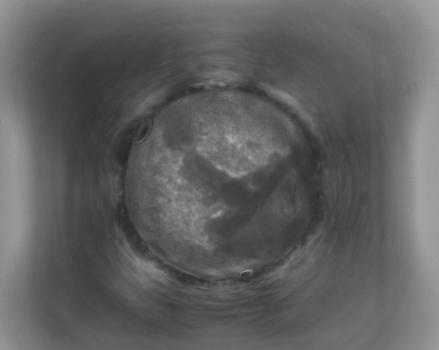 X0000113291399200909281002