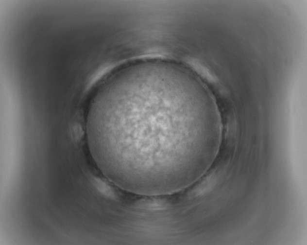 X0000113291400200909281002