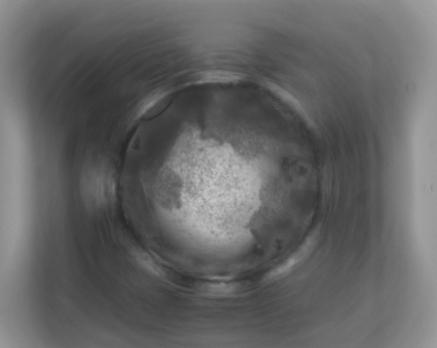 X0000113291401200909281002