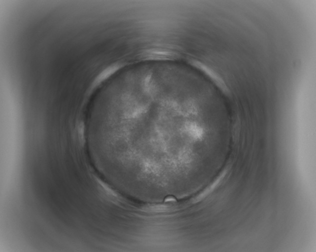 X0000113291402200909281002