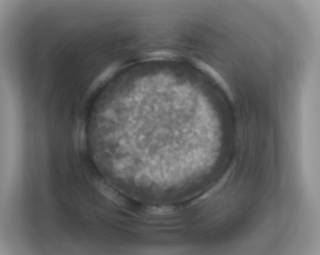 X0000113291403200909281002