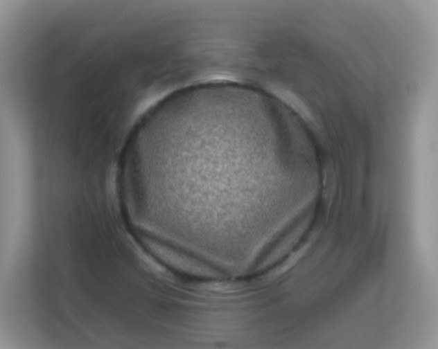 X0000113291404200909281002