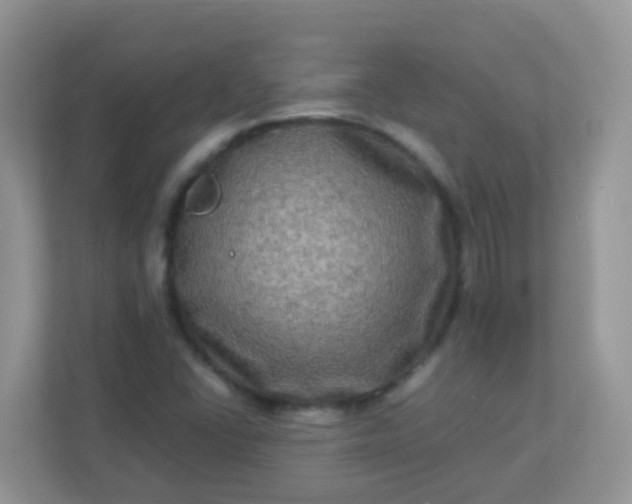 X0000113291406200909281002