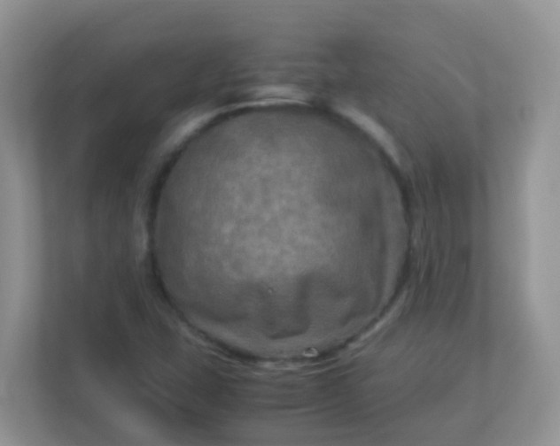 X0000113291407200909281003