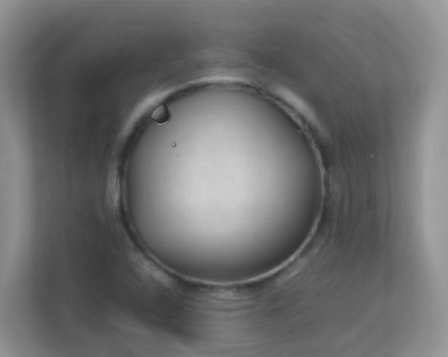 X0000113291408200909281003