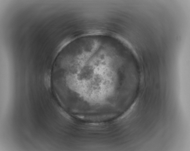 X0000113291409200909281003