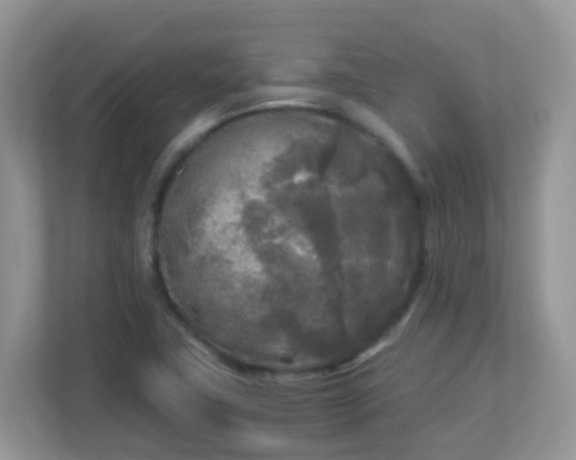 X0000113291411200909281003