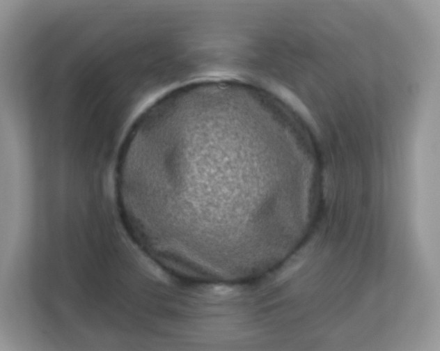 X0000113291412200909281003