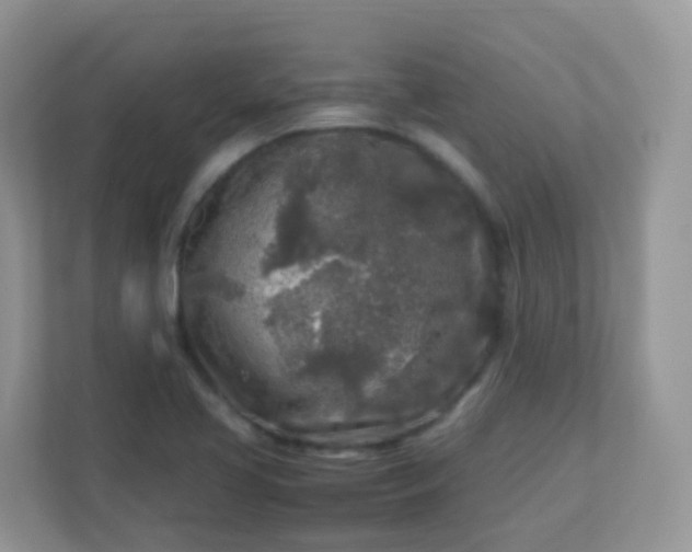 X0000113291413200909281003