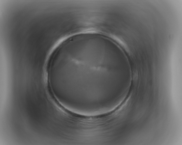 X0000113291414200909281003