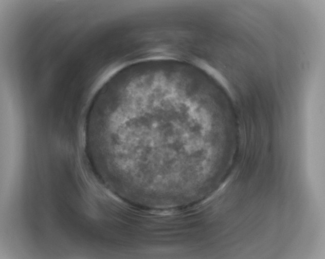 X0000113291415200909281003