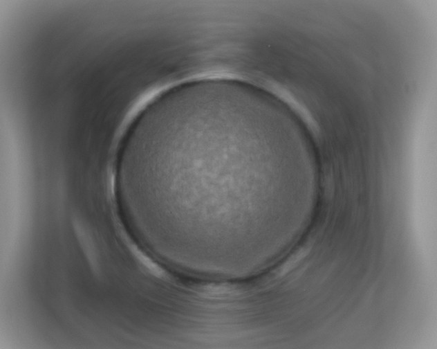 X0000113291416200909281003