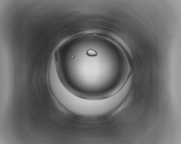 X0000113291417200909281003